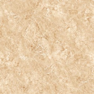 Gạch lát sàn Trường Thịnh TT96010